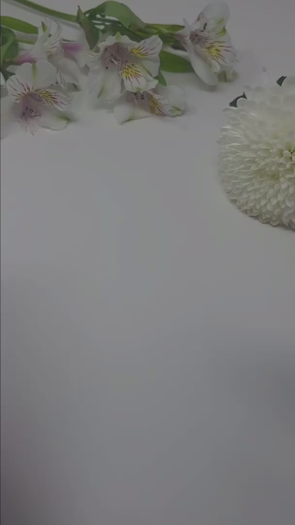 Société Procedure Enhancement Kit